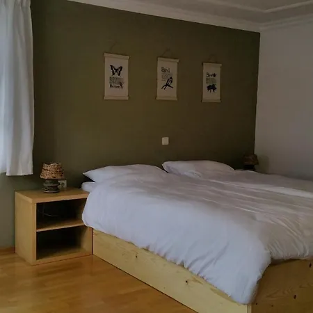 Zeppelin - App Aquamarin Lejlighed